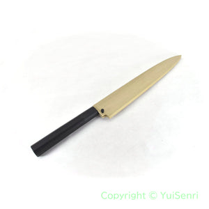 Sakai Takayuki Molybdenum Stainless Yanagiba antibacterial PC Black